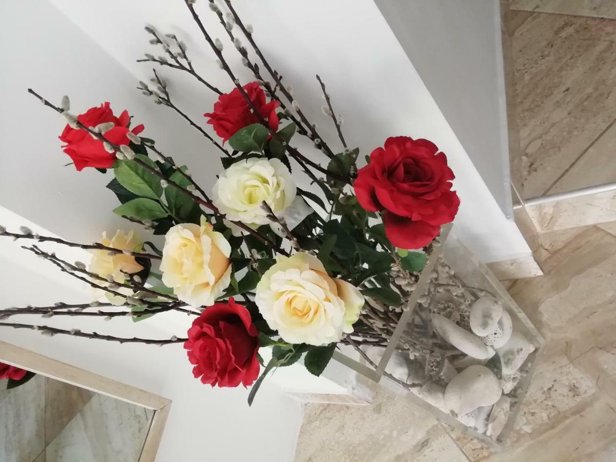 Studio Rose Пула Екстер'єр фото